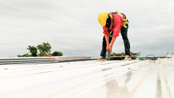 Best Gutter Installation and Repair  in Edwardsburg, MI