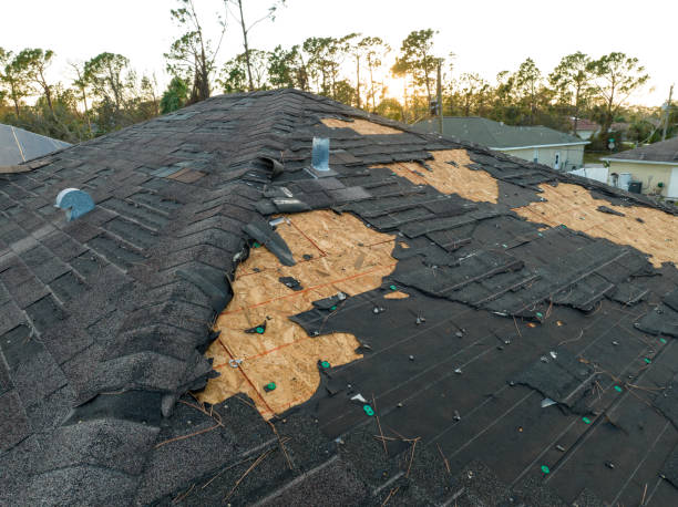 Best Asphalt Shingle Roofing  in Edwardsburg, MI